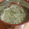 Сироп из белой бузины