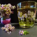 Травяной чай из тимьяна