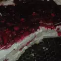 Шарлотка с лесной малиной