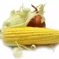 Кукуруза