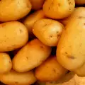 Картофель