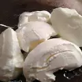 Домашнее кислое козье молоко