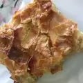 Обыкновенная молочная баница