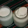 Домашнее овечье кислое молоко