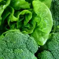 Продукты без углеводов или с низким содержанием углеводов