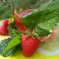 Сироп из акации, клубники и мелиссы
