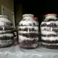 Сироп из черной бузины