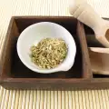 Какие болезни лечат чудодейственной полынью?