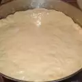 Тесто для пиццы с молоком и дрожжами