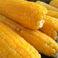 Вареная кукуруза в початках