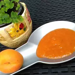 Болгарская кухня с абрикосами
