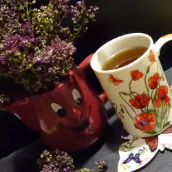 Чай из орегано (Origanum vulgare)