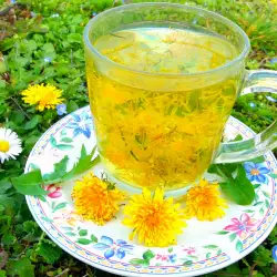 Детокс чай из одуванчиков