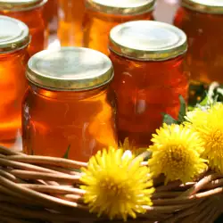 Простой в приготовлении сосновый мед
