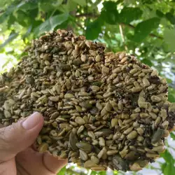 Полезные крекеры из семян без муки