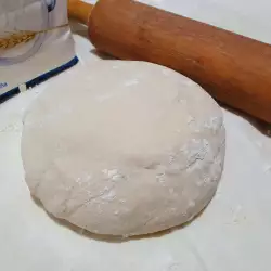 Неаполитанское тесто для пиццы