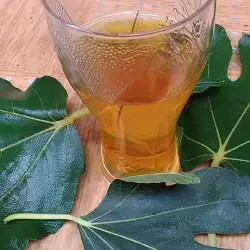 Сироп из листьев инжира