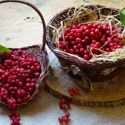 Сушеная клюква к чаю