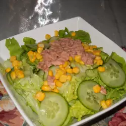 Зеленый салат с тунцом и кукурузой