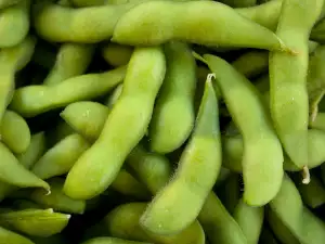 Стручковая фасоль
