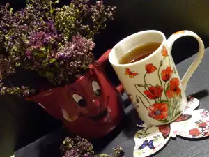 Чай из орегано (Origanum vulgare)