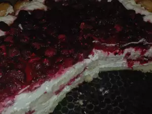 Шарлотка с лесной малиной