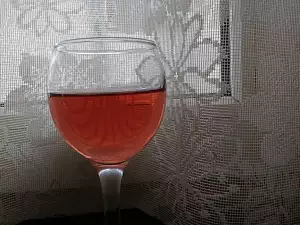 Домашний пелин ( болгарское ароматное вино)