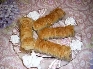 Домашние саралии