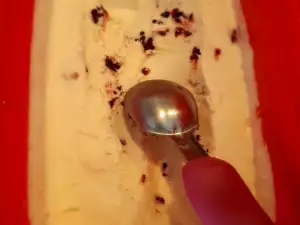 Домашнее мороженое Джелато