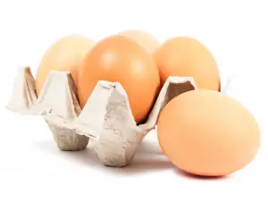 Яйца
