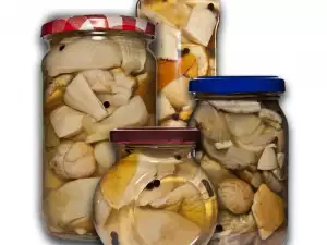 Грибы в банках