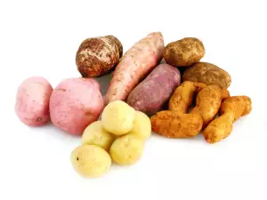 Сорта картофеля