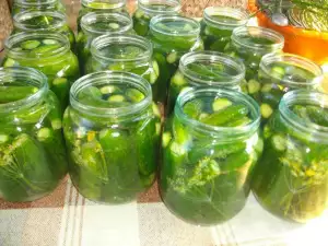 Маринованные корнишоны с укропом