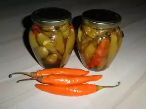 Заготовка из жгучих перцев без варки