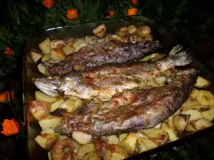 Форель с картофелем в духовке
