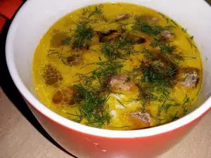 Пестрый куриный суп от простуды и гриппа