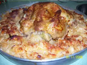 Домашняя курица, фаршированная греческими голубцами, с квашеной капустой