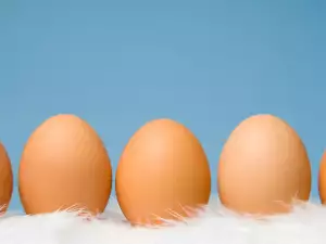 Пасхальные Яйца
