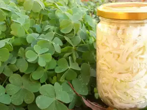 Нарезанная квашеная капуста в банках без варки