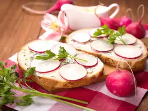 Редиска – вкусная и очень полезная