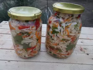 Пестрое соленье по-болгарски