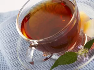 Чай из скумпии