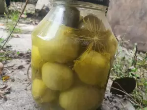 Зеленые помидоры на зиму