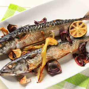 Скумбрия