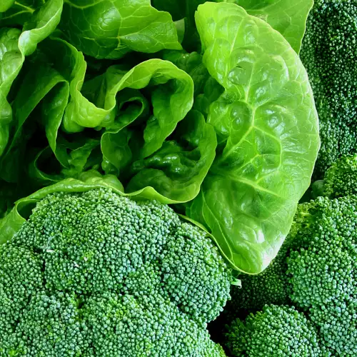 Продукты без углеводов или с низким содержанием углеводов