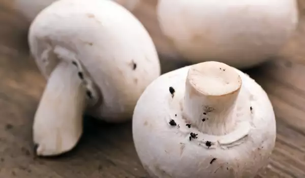 Как сохранить свежие грибы в морозилке?