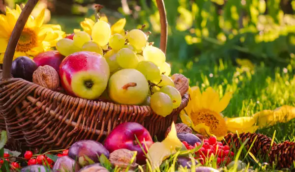 осенние продукты для здоровья кишечника