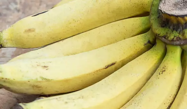 Сколько белков содержится в бананах?
