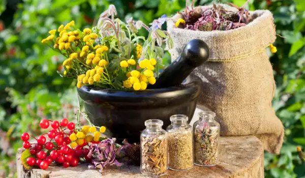 полезные продукты для долгой жизни