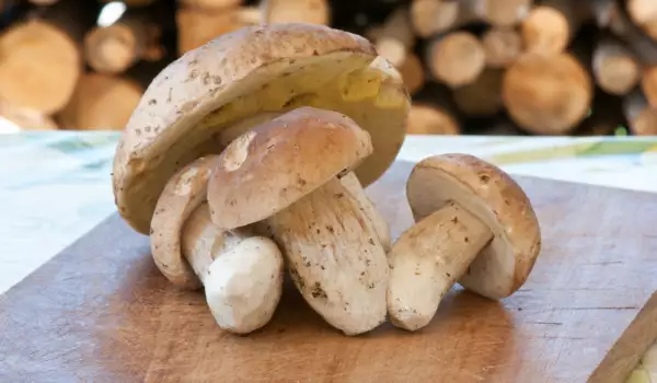 Как хранить белые грибы?